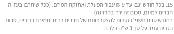צילום מסך.png